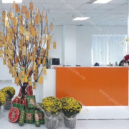 Phòng LỄ TÂN REC 11